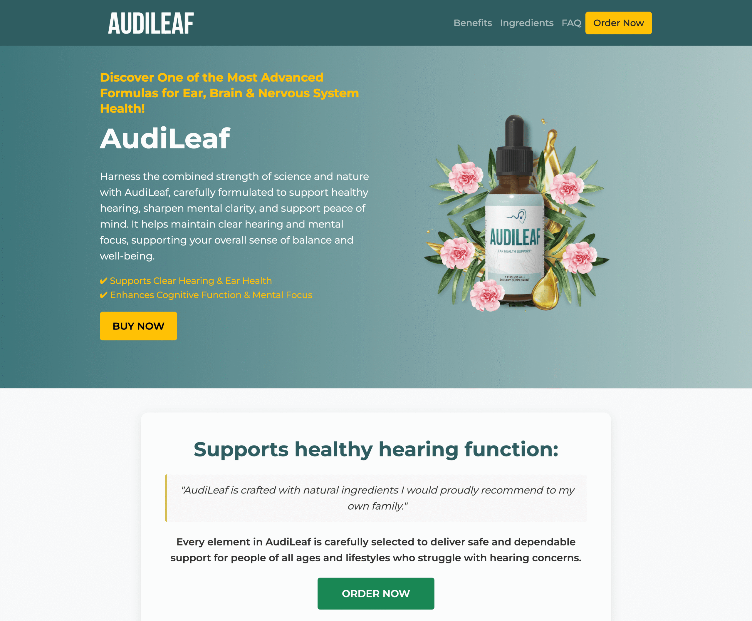 AudiLeaf